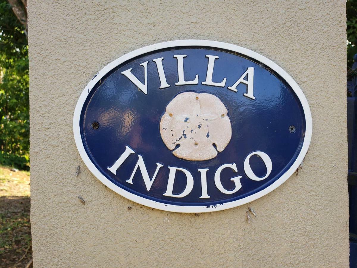 Villa Indigo Sunny 1Br Apartment In Private Gated Estate Charlotte Amalie Exteriör bild