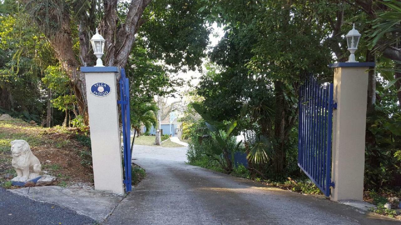 Villa Indigo Sunny 1Br Apartment In Private Gated Estate Charlotte Amalie Exteriör bild