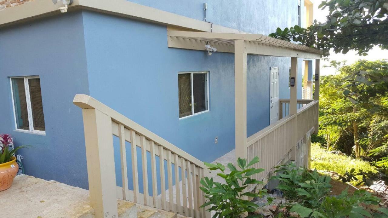 Villa Indigo Sunny 1Br Apartment In Private Gated Estate Charlotte Amalie Exteriör bild